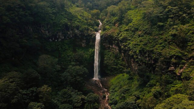 Review Menarik Air Terjun Coban Rondo Wisata Alam Yang Melegenda Di