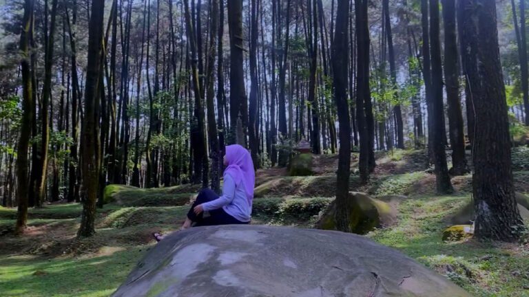 Taman Wisata Gunung Pancar Sentul Bogor