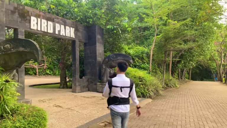 Taman Lembah Hijau Lampung: Wisata Alam dan Edukasi yang Menarik