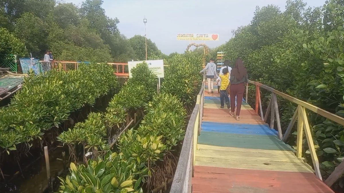 Eksplorasi Hutan Mangrove: Jembatan Cinta sebagai Destinasi Tersembunyi