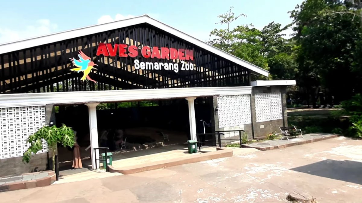 Semarang Zoo: Destinasi Wisata Keluarga yang Penuh Kejutan