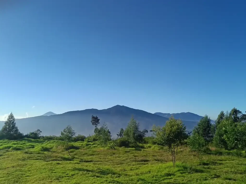 Gunung Artapela: Puncak yang Menawarkan Panorama Luar Biasa
