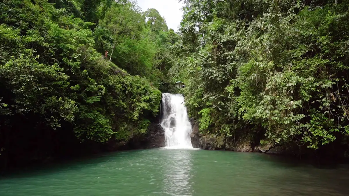 Aling-aling Waterfall: Keindahan Tersembunyi di Bali Utara